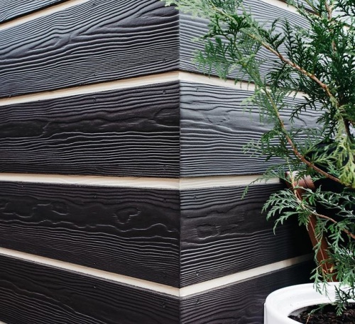Сайдинг CEDRAL wood (под дерево) С06